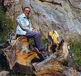 0150-Hellbusch on stumps